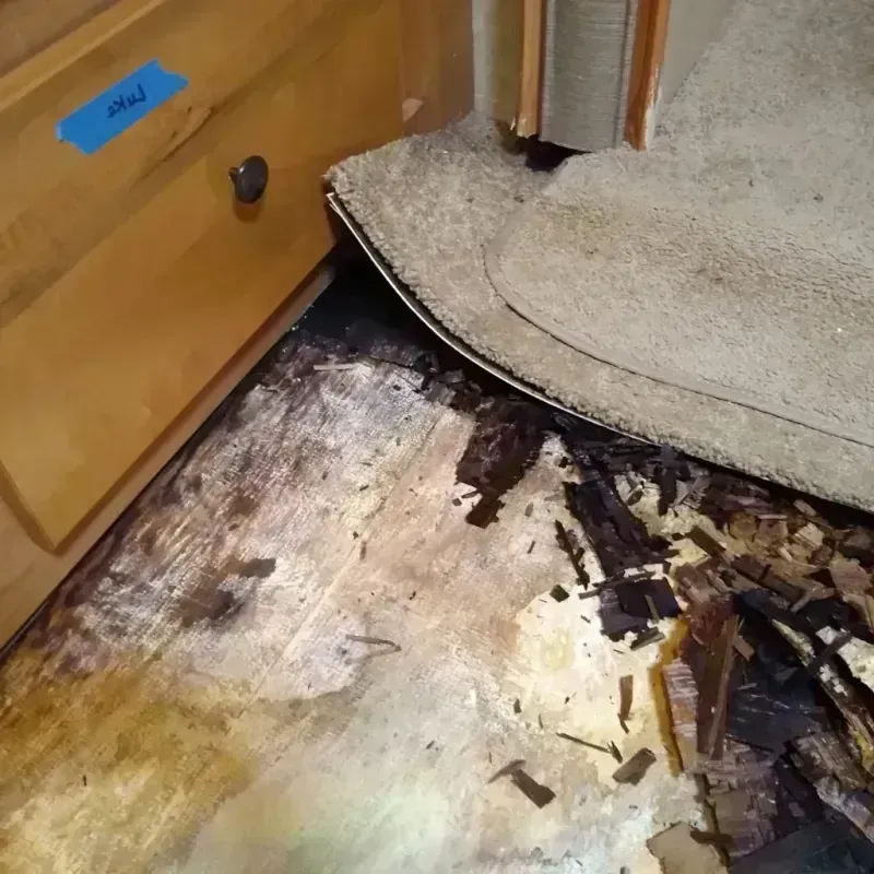 Wood Floor Water Damage in Roma, TX